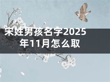 宋姓男孩名字2025年11月怎么取