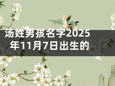 汤姓男孩名字2025年11月7日出生的