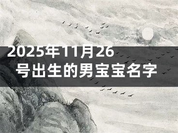 2025年11月26号出生的男宝宝名字
