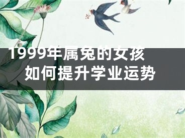 1999年属兔的女孩如何提升学业运势