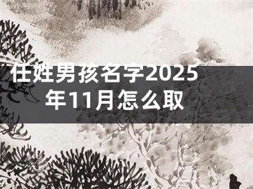 任姓男孩名字2025年11月怎么取