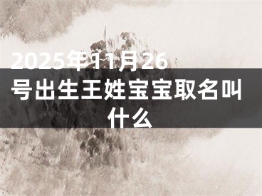 2025年11月26号出生王姓宝宝取名叫什么