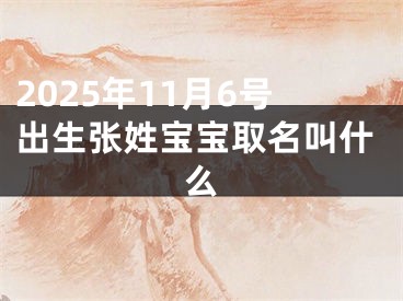 2025年11月6号出生张姓宝宝取名叫什么