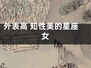 外表高 知性美的星座女