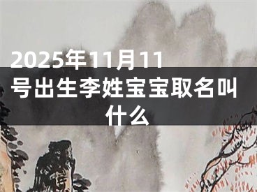 2025年11月11号出生李姓宝宝取名叫什么
