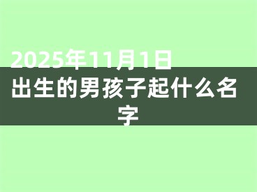 2025年11月1日出生的男孩子起什么名字