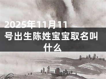 2025年11月11号出生陈姓宝宝取名叫什么