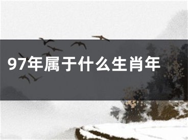 97年属于什么生肖年