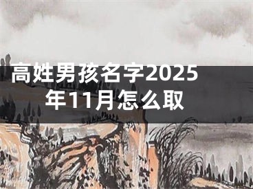 高姓男孩名字2025年11月怎么取