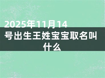 2025年11月14号出生王姓宝宝取名叫什么