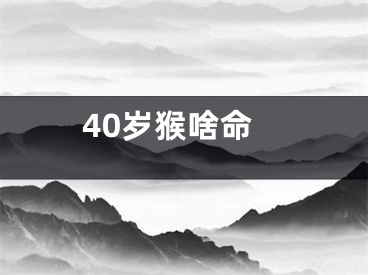 40岁猴啥命