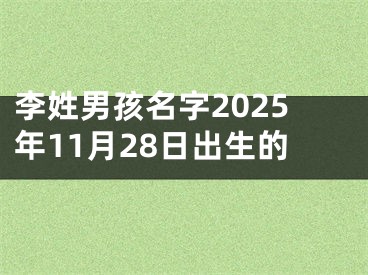 李姓男孩名字2025年11月28日出生的