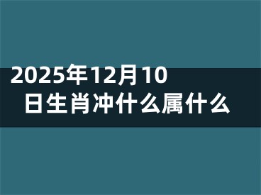 2025年12月10日生肖冲什么属什么
