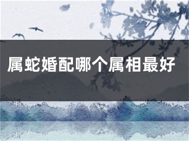 属蛇婚配哪个属相最好