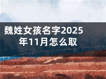 魏姓女孩名字2025年11月怎么取