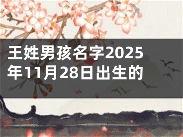 王姓男孩名字2025年11月28日出生的