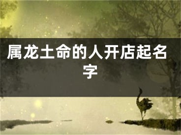 属龙土命的人开店起名字