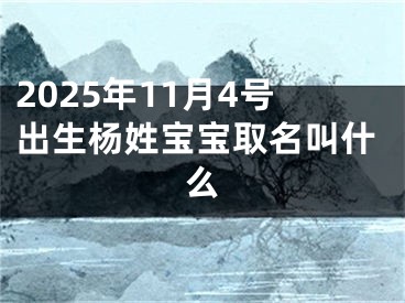 2025年11月4号出生杨姓宝宝取名叫什么