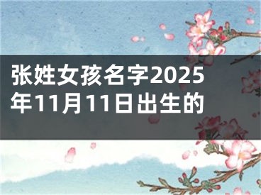张姓女孩名字2025年11月11日出生的