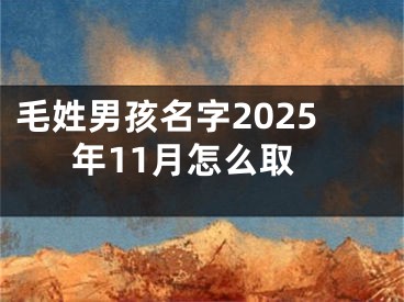 毛姓男孩名字2025年11月怎么取