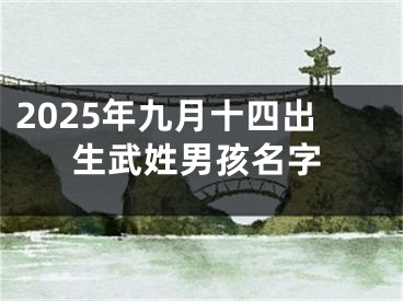 2025年九月十四出生武姓男孩名字
