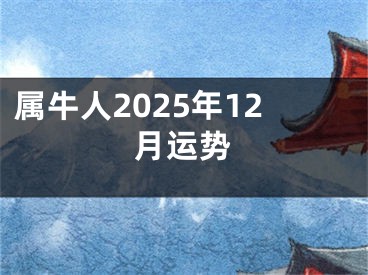 属牛人2025年12月运势