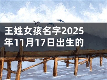 王姓女孩名字2025年11月17日出生的