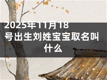 2025年11月18号出生刘姓宝宝取名叫什么