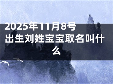 2025年11月8号出生刘姓宝宝取名叫什么