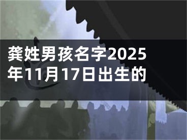 龚姓男孩名字2025年11月17日出生的