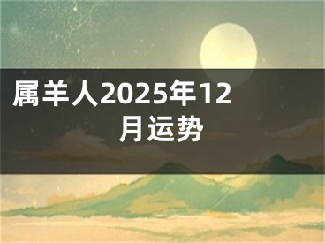 属羊人2025年12月运势