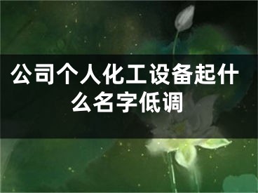 公司个人化工设备起什么名字低调