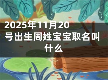 2025年11月20号出生周姓宝宝取名叫什么