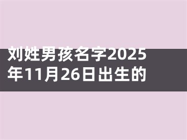 刘姓男孩名字2025年11月26日出生的