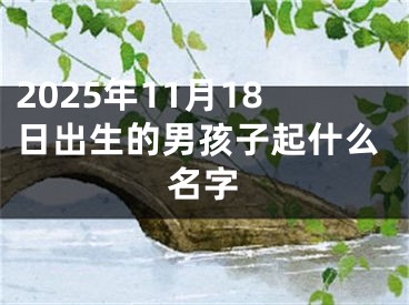 2025年11月18日出生的男孩子起什么名字