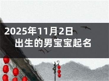 2025年11月2日出生的男宝宝起名