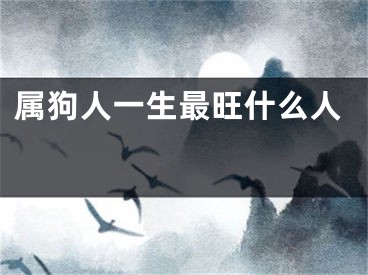 属狗人一生最旺什么人