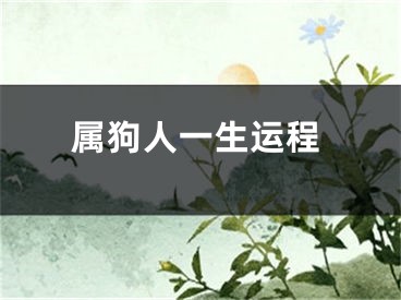 属狗人一生运程