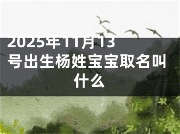 2025年11月13号出生杨姓宝宝取名叫什么