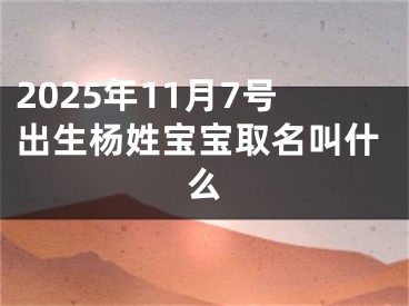 2025年11月7号出生杨姓宝宝取名叫什么