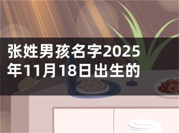 张姓男孩名字2025年11月18日出生的
