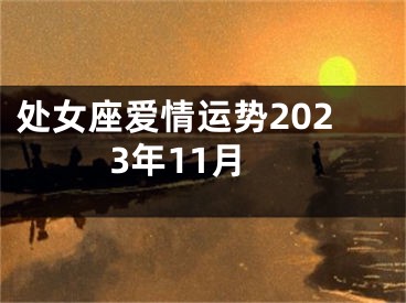 处女座爱情运势2023年11月