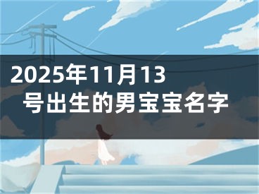 2025年11月13号出生的男宝宝名字