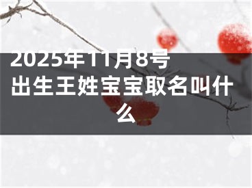 2025年11月8号出生王姓宝宝取名叫什么