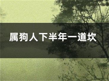 属狗人下半年一道坎