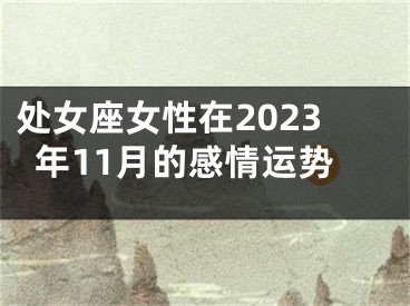 处女座女性在2023年11月的感情运势