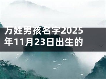 万姓男孩名字2025年11月23日出生的