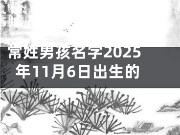 常姓男孩名字2025年11月6日出生的