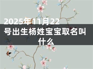 2025年11月22号出生杨姓宝宝取名叫什么