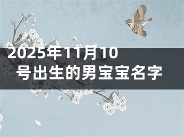 2025年11月10号出生的男宝宝名字
